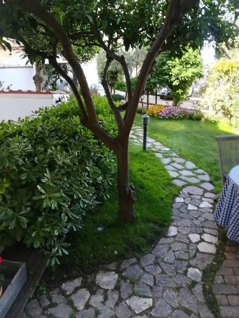 Candida'S House Alguer 0*,